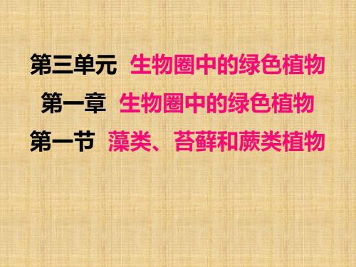 3.1.1藻类、苔藓和蕨类植物