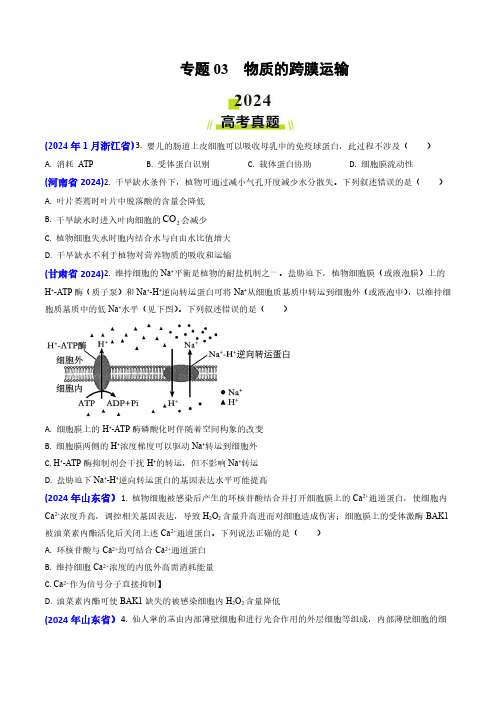 专题03 物质的跨膜运输-2024年高考真题和模拟题生物分类汇编(学生卷)