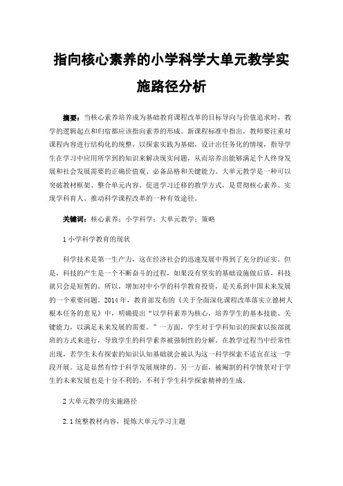 指向核心素养的小学科学大单元教学实施路径分析