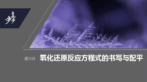 2024年高考化学一轮复习(新高考版) 第1章 第5讲 氧化还原反应方程式的书写与配平