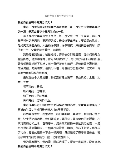 我的青春里有中考满分作文