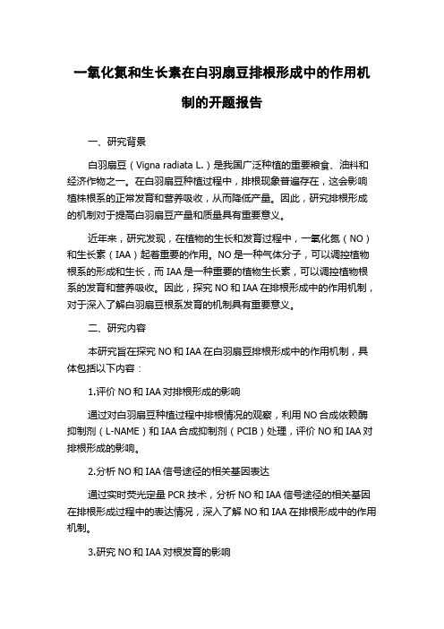 一氧化氮和生长素在白羽扇豆排根形成中的作用机制的开题报告