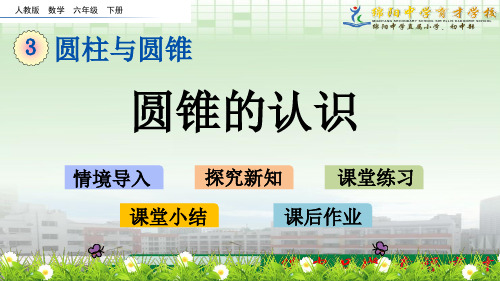 六年级数学课件圆锥第一课时