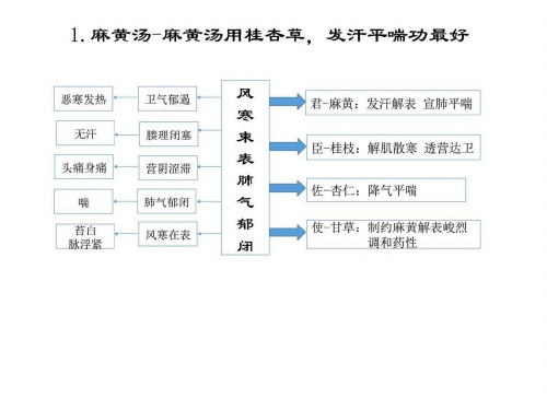 中医方剂思维导图(精品教学)