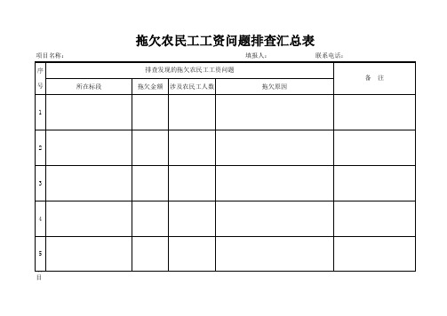 农民工工资支付检查情况表