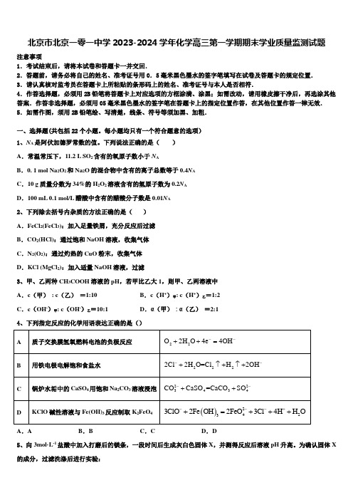 北京市北京一零一中学2023-2024学年化学高三第一学期期末学业质量监测试题含解析