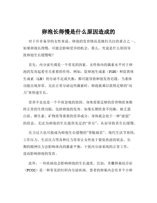 卵泡长得慢是什么原因造成的