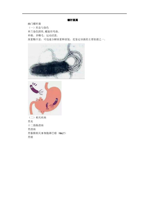 细菌学考点总结考点总结