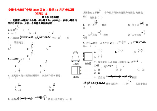 安徽省毛坦厂中学2020届高三数学11月月考试题(应届)文(最新整理)