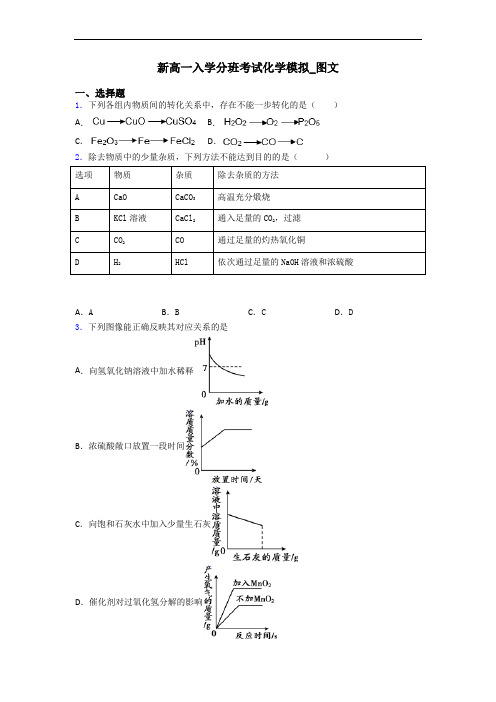 新高一入学分班考试化学模拟_图文