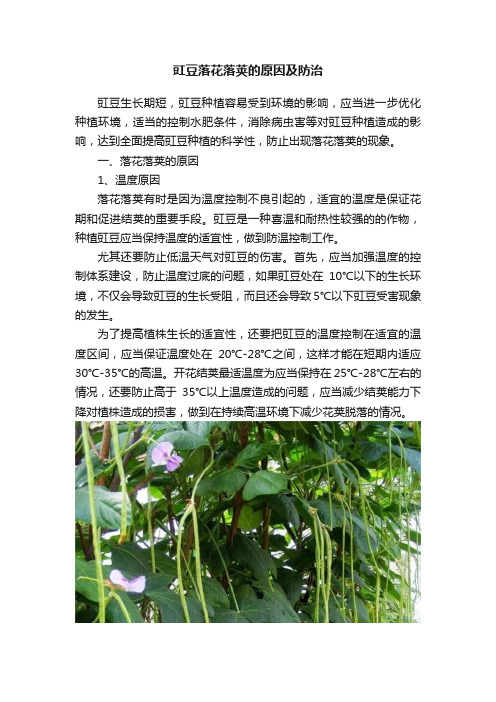 豇豆落花落荚的原因及防治