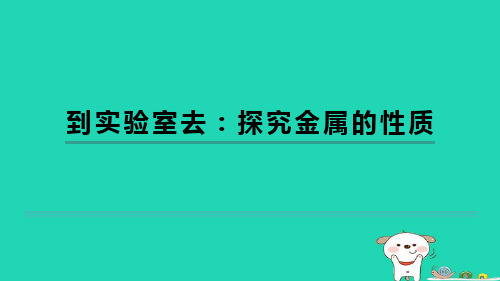 2024九年级化学下册第9单元金属到实验室去：探究金属的性质习题课件鲁教版