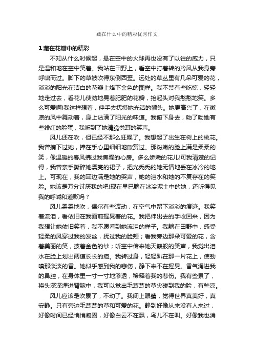 藏在什么中的精彩优秀作文