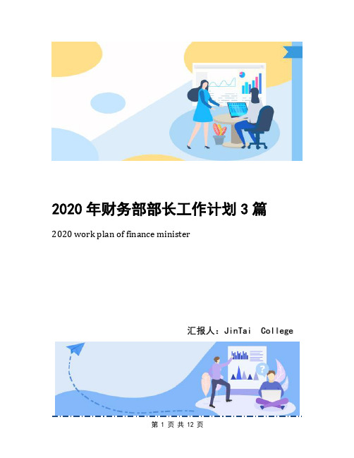 2020年财务部部长工作计划3篇