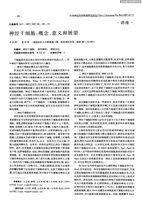 神经干细胞:概念、意义和展望