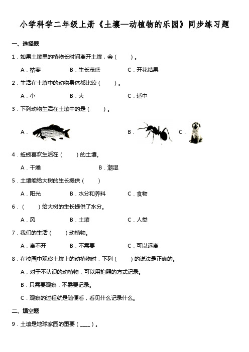 小学科学二年级上册《土壤—动植物的乐园》同步练习题