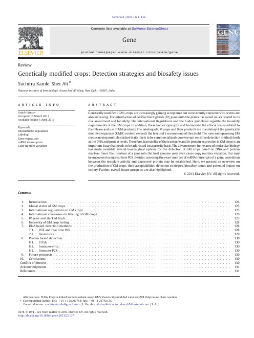 Genetically modified crops Detection strategies and biosafety issues