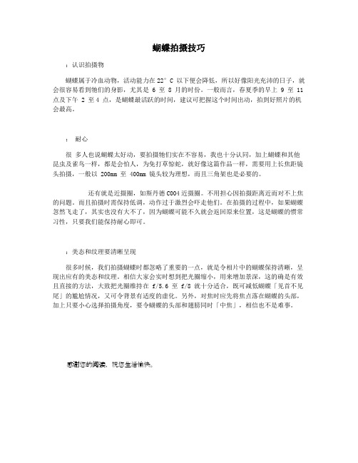 蝴蝶拍摄技巧