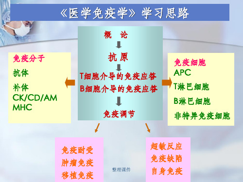 《超敏反应》 (2)