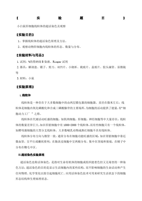 小白鼠肝细胞线粒体的超活染色及观察实验报告