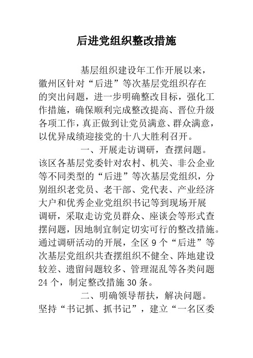 后进党组织整改措施.doc