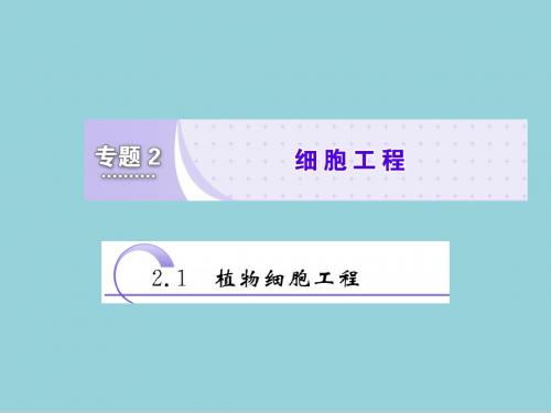2018-2019学年高二生物人教版选修三教学课件2.1.1 植物细胞工程的基本技术