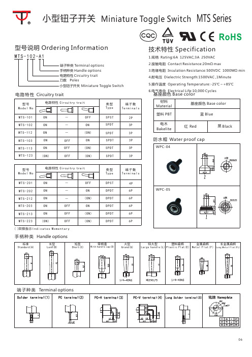 小型钮子开关