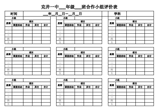 克井一中合作小组评价表2013