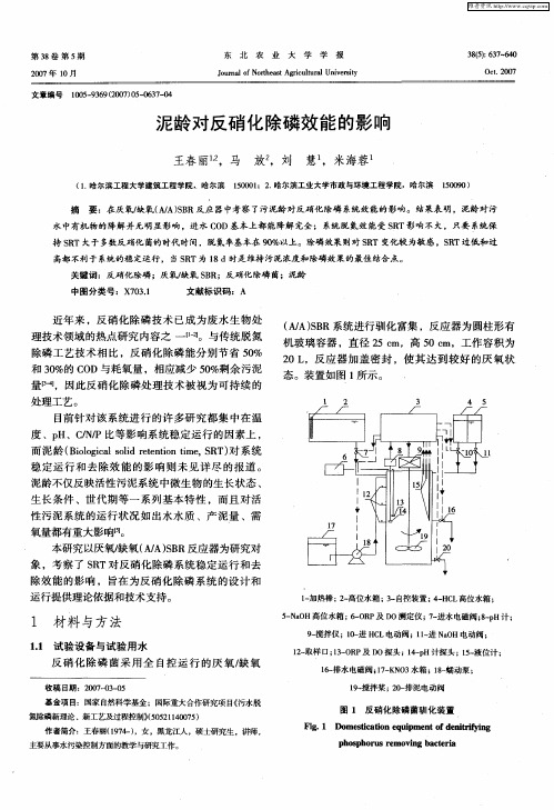 泥龄对反硝化除磷效能的影响