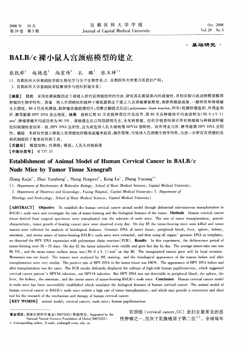 BALB／c裸小鼠人宫颈癌模型的建立