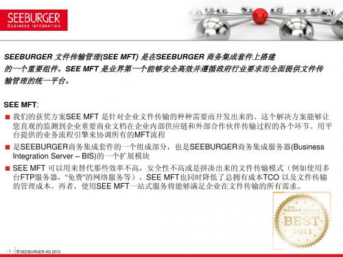 SEEBURGER SEE MFT解决方案