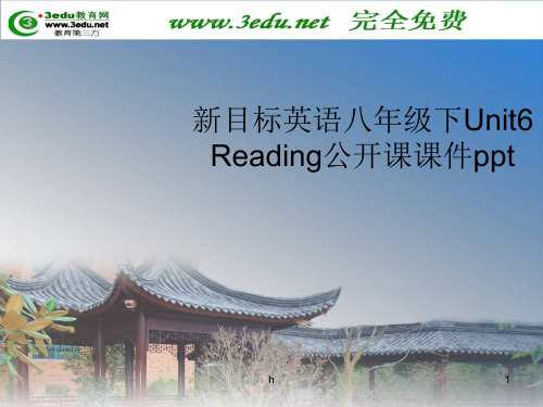 八年级英语How long have you been collecting shells课件