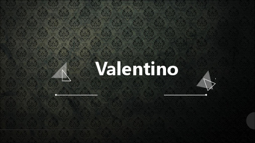 valentino华伦天奴品牌调研