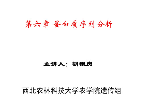 蛋白质序列分析精品课件.ppt