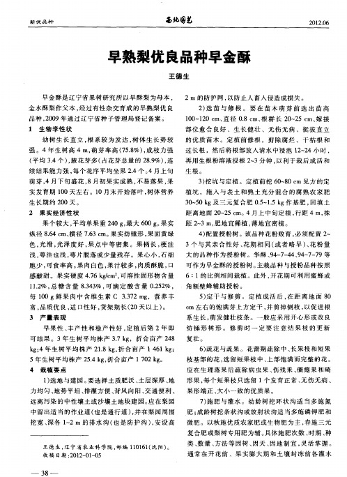 早熟梨优良品种早金酥