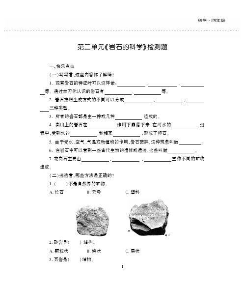 最新青岛版科学 四年级下册 第2单元测试卷 练习题