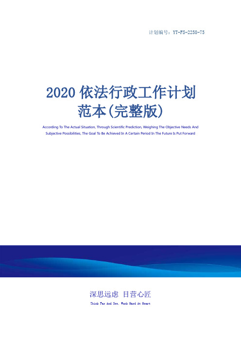 2020依法行政工作计划范本(完整版)