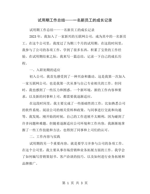 试用期工作总结——一名新员工的成长记录