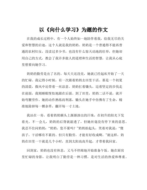 以《向什么学习》为题的作文