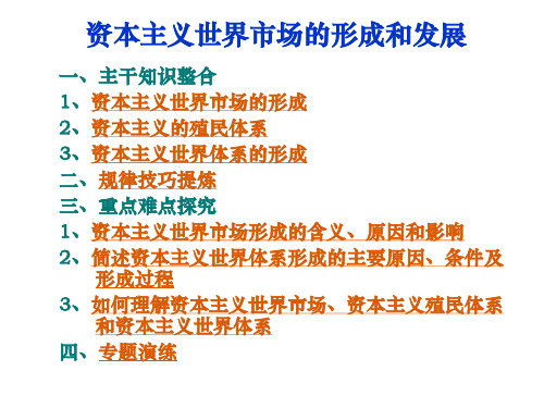 二轮专题:资本主义世界市场的形成和发展专题复习课件