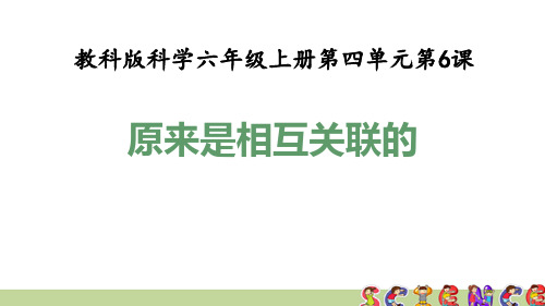 教科版六年级科学上册4.6原来是相互关联的(教学课件)