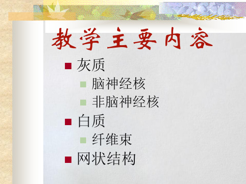 神经解剖学脑干内部结构课件.ppt