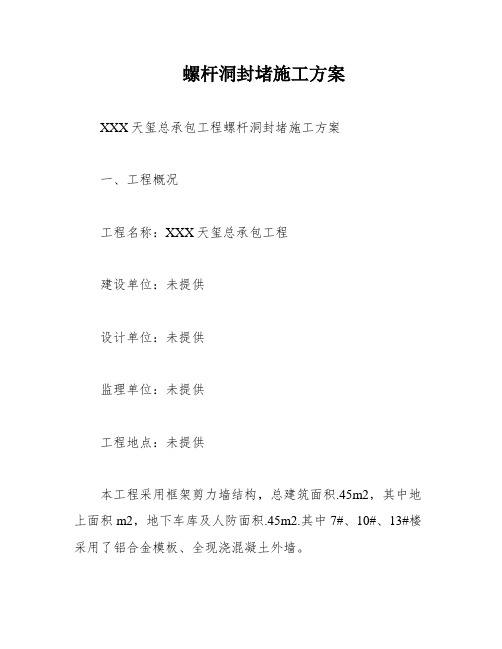 螺杆洞封堵施工方案