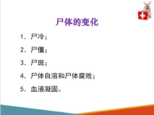 动物尸体剖检—动物尸体剖检概述(动物病理学课件)