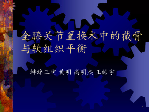 全膝关节置换术中的截骨与软组织平衡PPT课件