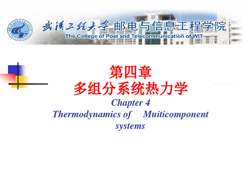 第四章- 多组分系统热力学