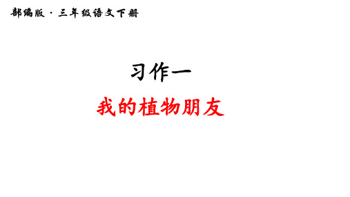 部编人教版三年级语文下册习作《我的植物朋友》精美PPT课件