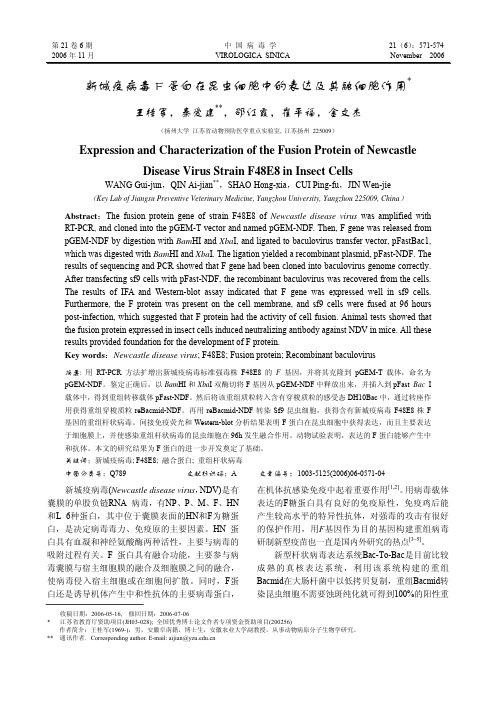 新城疫病毒F蛋白在昆虫细胞中的表达及其融细胞作用