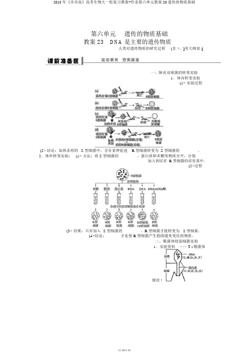 2018年《步步高》高考生物大一轮复习教案+作业第六单元教案23遗传的物质基础