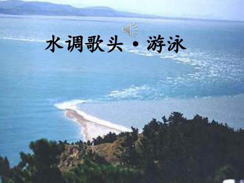 水调歌头·游泳